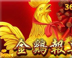 金雞報喜老虎機