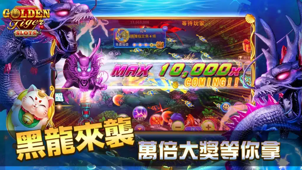金虎爺娛樂城特色
